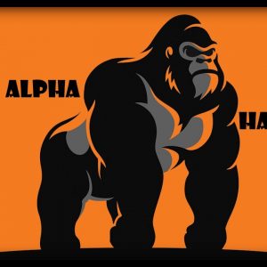 5 ALPHA MALE HABITS THAT WILL CHANGE YOU FOREVER